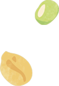 豆