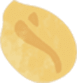 豆